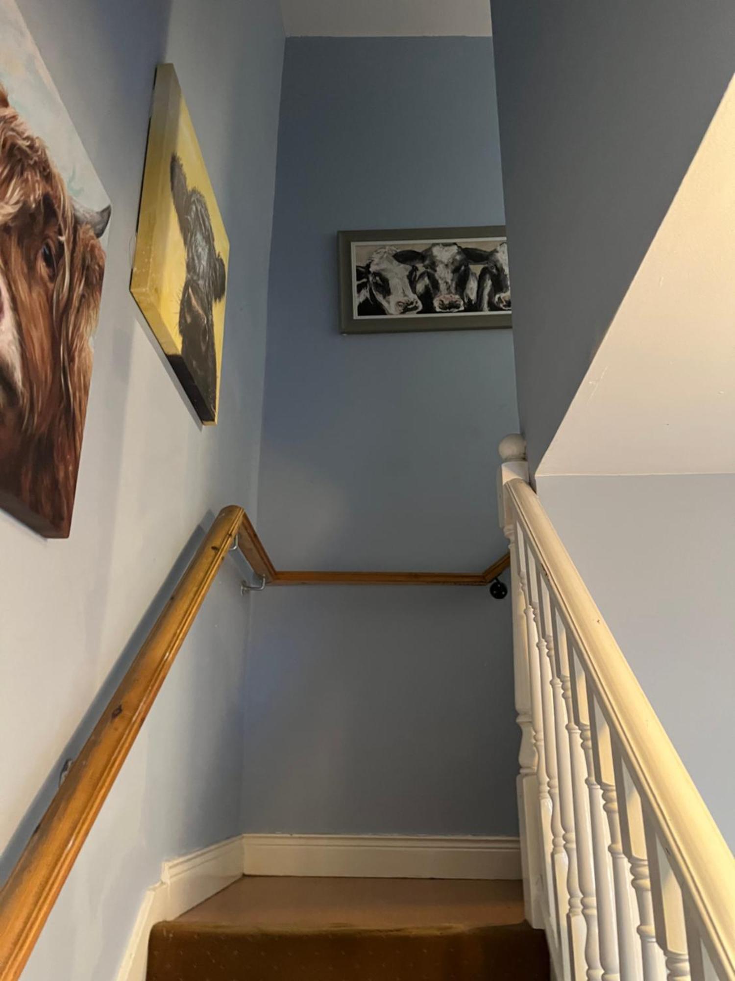 Parkmore Street, Ormeau Road Belfast Extérieur photo